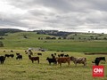 Bantu Karhutla, Bisa Perpanjang Liburan-Kerja di Australia