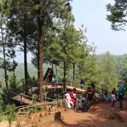 Yuk, Cek 5 Lokasi Wisata Instagramable di Bogor Ini