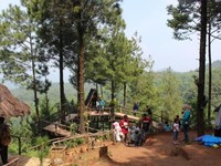 Yuk, Cek 5 Lokasi Wisata Instagramable di Bogor Ini
