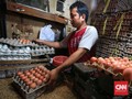 Pelemahan Rupiah Bikin Harga Telur Merangkak