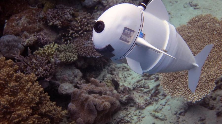 Robot ikan ini bisa digunakan untuk mengukur polusi di perairan pantai, membuat peta dll.
