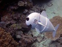 Jika Ingin Mencari Nemo, Anda Mungkin Perlu SoFi, Ikan Robot