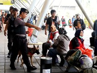 Pengamanan Arus Mudik, Petugas Kerahkan Anjing Pelacak
