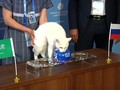 VIDEO: Kucing Ramal Pemenang Laga Pertama Piala Dunia 2018