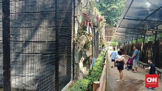Libur Lebaran, Kebun Binatang Bandung Tambah Wahana