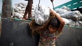 Hampir semuanya berlindung di kamp-kamp darurat di sekitar distrik selatan Cox's Bazar. (REUTERS/Clodagh Kilcoyne)
