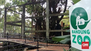 28 Ribu Wisatawan Kunjungi Kebun Binatang Bandung