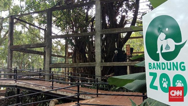 28 Ribu Wisatawan Kunjungi Kebun Binatang Bandung