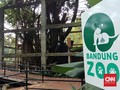 28 Ribu Wisatawan Kunjungi Kebun Binatang Bandung