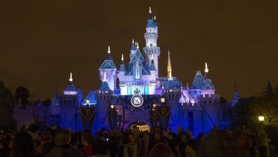 Sleeping Beauty's Castle is pictured during Disneyland's Diamond Celebration in Anaheim, California May 23, 2015. REUTERS/Mario Anzuoni
