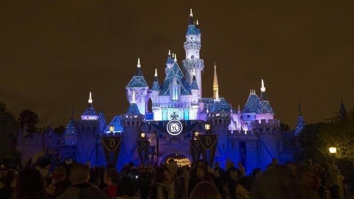Sleeping Beauty's Castle is pictured during Disneyland's Diamond Celebration in Anaheim, California May 23, 2015. REUTERS/Mario Anzuoni