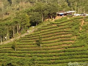 Prakiraan Cuaca DIY Hari Ini: Hujan Lebat di Perbukitan Menoreh