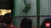 Jika dibandingkan puncak libur lebaran tahun lalu, yaitu 130 ribu, jumlah pengunjung tahun ini meningkat sekitar 16 persen. (CNN Indonesia/Andry Novelino)