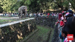 Ragunan Bantah Hoax Tiket Gratis selama Libur Lebaran