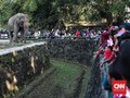 Ragunan Bantah Hoax Tiket Gratis selama Libur Lebaran