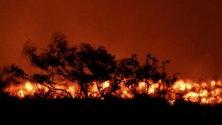 FOTO: Hancurnya Kebun Ganja Disiram Lava Kia