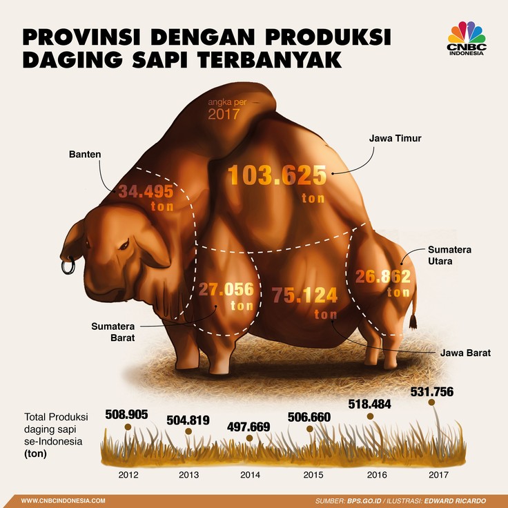 Provinsi Ini Produksi Daging Sapinya Paling Banyak se-RI Produksi daging sapi Indonesia masih rendah ketimbang kebutuhan masyarakat Indonesia.