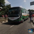 Ini Rahasia Bos Bus Lorena Mati-Matian Tak PHK Karyawan