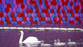 Sebuah ‘piramida’ mendadak muncul di tengah angsa-angsa yang berenang di danau di tengah Hyde Park, London. (REUTERS/Henry Nicholls)