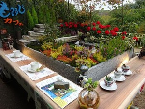 5 Langkah Mudah Membuat Taman Bunga di Halaman Rumah