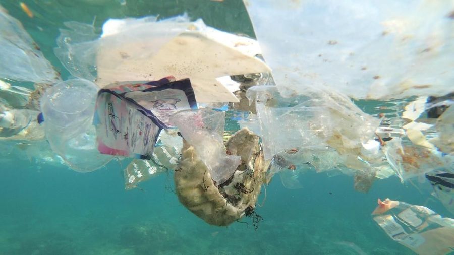 Debris and plastic litter found by Tangaroa Blue, an Australian Marine debris initiative, on Christmas Island, Australia in this undated handout.   Tangaroa Blue/Handout via REUTERS  ATTENTION EDITORS - THIS IMAGE HAS BEEN SUPPLIED BY A THIRD PARTY.  MANDATORY CREDIT  NO SALES NO ARCHIVES