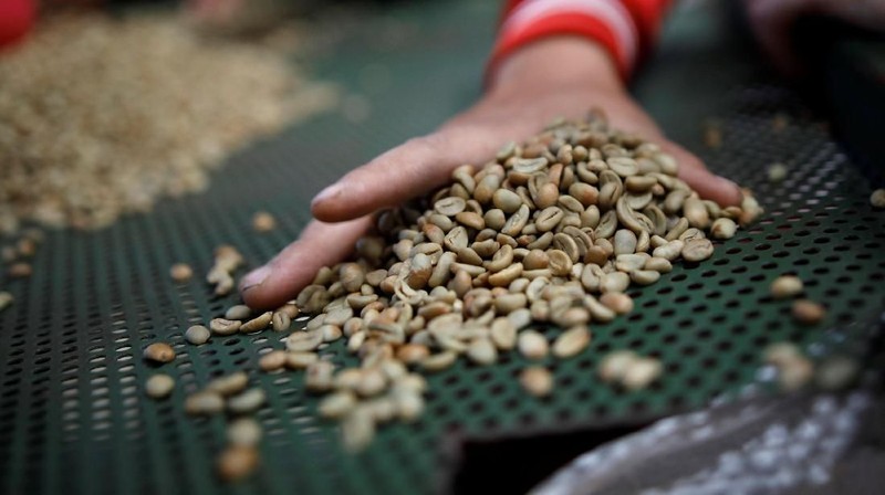Konsumsi kopi di Indonesia hampir dua kali lipat dalam 10 tahun terakhir, karena banyak anak muda Indonesia dipengaruhi oleh kebiasaan minum kopi