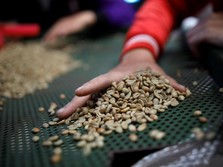 Industri Kopi Stagnan, Mungkin 2 Tahun Lagi RI Jadi Importir