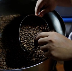 Selera Peminum Berubah, Impor Kopi Meroket 500%!