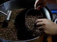 Awas! 5 Obat Ini Jangan Dikonsumsi Bareng Kopi