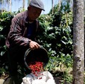 Runyam! Dendam Eropa ke RI Bisa Bikin Sengsara Dunia