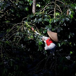 Eropa Bakal Nyesel Seumur Hidup Jika Jegal Harta Karun RI Ini