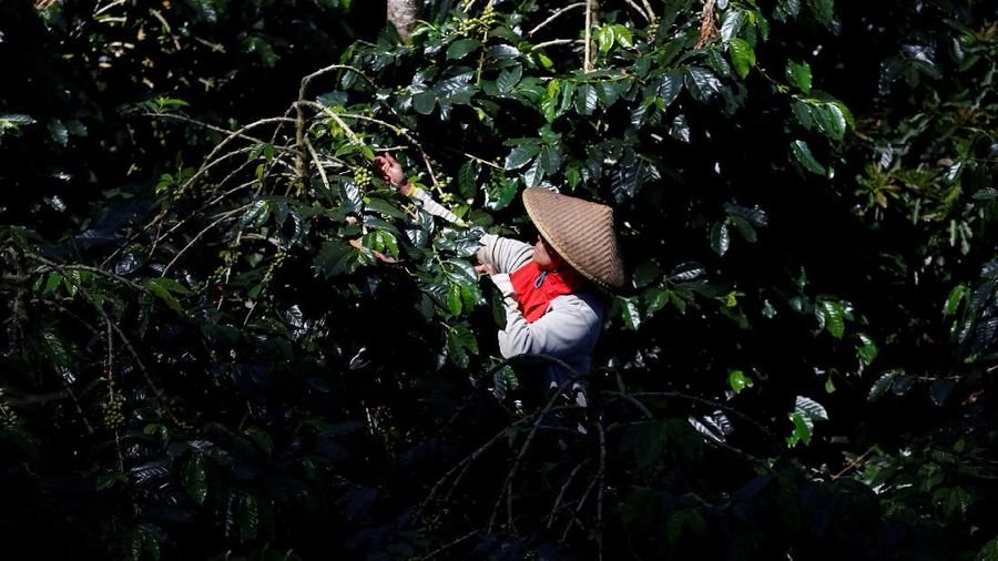 Nilai tukar petani stagnan