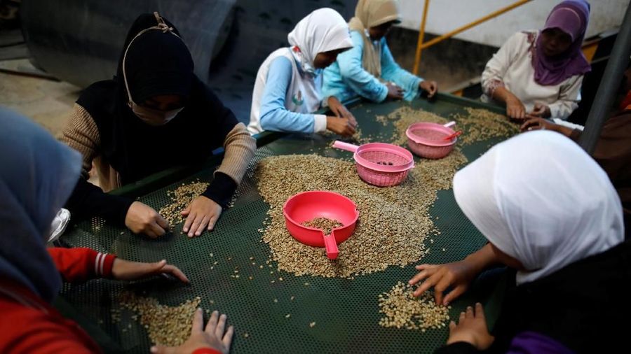 Konsumsi kopi di Indonesia hampir dua kali lipat dalam 10 tahun terakhir, karena banyak anak muda Indonesia dipengaruhi oleh kebiasaan minum kopi