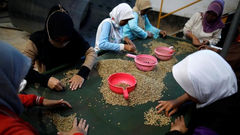 Konsumsi kopi di Indonesia hampir dua kali lipat dalam 10 tahun terakhir, karena banyak anak muda Indonesia dipengaruhi oleh kebiasaan minum kopi
