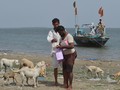 Kasih Sayang Nelayan di 'Pulau Anjing' Pakistan