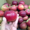 Badai Impor di Mei 2018, Dari Apel Sampai Bom