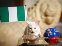 Nigeria vs Argentina, Achilles Kucing Peramal Pilih Mana?