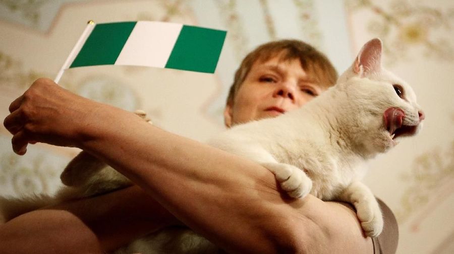 Achilles the cat, that lives in St Petersburg's Hermitage museum, chooses Nigeria while attempting to predict the result of the match of the soccer World Cup between Argentina and Nigeria in Saint Petersburg, Russia June 26, 2018. REUTERS/Anton Vaganov