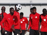 Senegal, Harapan Terakhir Tim Benua Hitam di Piala Dunia 2018
