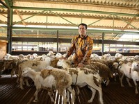 Mentan dan Buwas Blusukan ke Pasar Cek Harga Beras