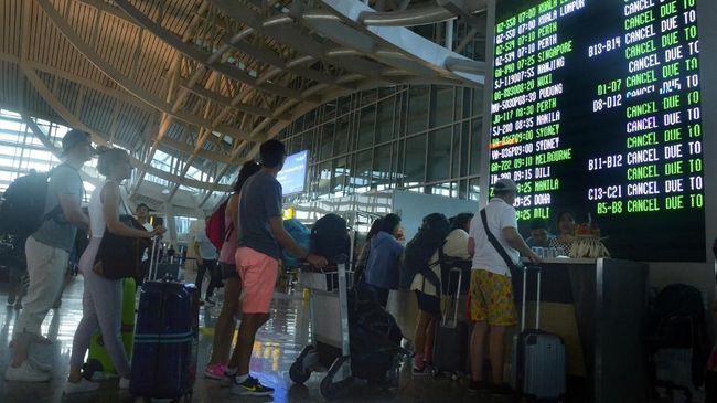 YLKI Minta Pemborosan Maskapai Jangan Dibebankan ke Konsumen