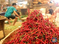 H-1 Lebaran, Harga Cabai Tembus Rp 80.000/kg