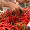 'Emak-emak Mulai Masak untuk Lebaran Bikin Harga Cabai Naik'