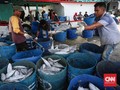 Kadin Keluhkan Proses Perizinan Perikanan Lamban
