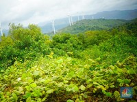Serasa di Eropa, Ini Kebun Angin Raksasa RI