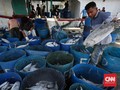 KKP Desak Pengusaha Patuhi Aturan Asuransi Bagi ABK