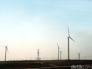 Emiten Prajogo Pangestu Caplok 3 Aset Pembangkit Kebun Angin RI