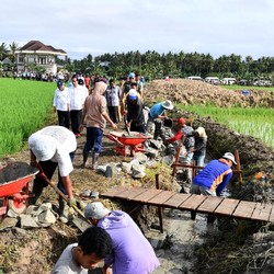 Simak! Begini Jurus Anak Buah Jokowi Pacu Produksi Pangan