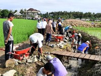Simak! Begini Jurus Anak Buah Jokowi Pacu Produksi Pangan