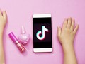 TikTok Berpotensi Jadi Ancaman Nasional